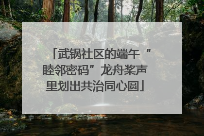 武锅社区的端午“睦邻密码”龙舟桨声里划出共治同心圆