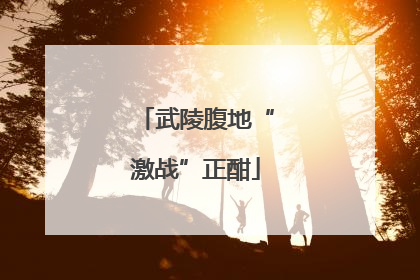 武陵腹地“激战”正酣
