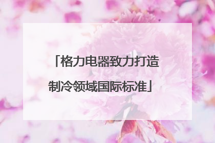 格力电器致力打造制冷领域国际标准