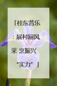 桂东普乐：展村厨风采 烹振兴“实力”