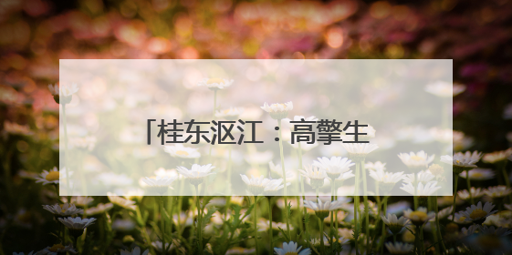 桂东沤江：高擎生态旗 描绘新画卷