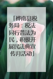 桦南县税务局：税法同行普法为民，积极开展民法典宣传月活动