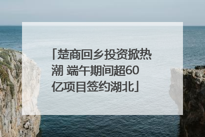 楚商回乡投资掀热潮 端午期间超60亿项目签约湖北