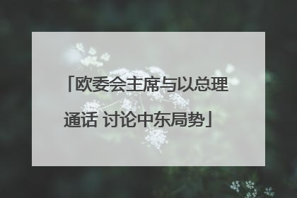 欧委会主席与以总理通话 讨论中东局势