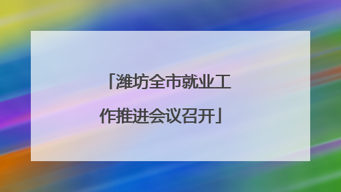 潍坊全市就业工作推进会议召开