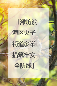 潍坊滨海区央子街道多举措筑牢安全防线