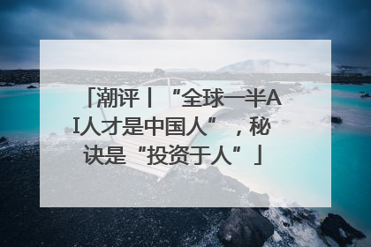 潮评丨“全球一半AI人才是中国人”，秘诀是“投资于人”