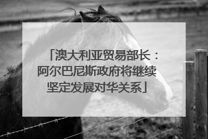 澳大利亚贸易部长：阿尔巴尼斯政府将继续坚定发展对华关系