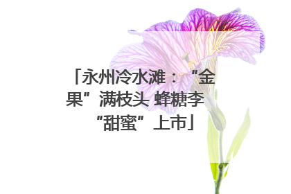 永州冷水滩：“金果”满枝头 蜂糖李“甜蜜”上市