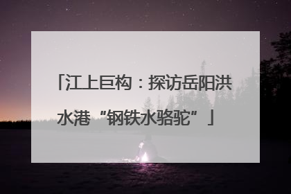 江上巨构：探访岳阳洪水港“钢铁水骆驼”