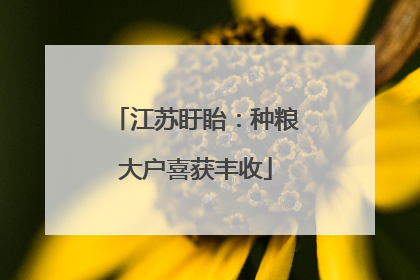 江苏盱眙：种粮大户喜获丰收