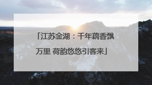 江苏金湖：千年藕香飘万里 荷韵悠悠引客来