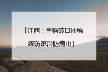 江西：早稻破口抽穗 统防统治防病虫