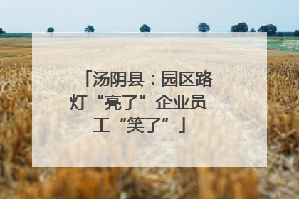 汤阴县：园区路灯“亮了”企业员工“笑了”