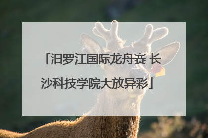 汨罗江国际龙舟赛 长沙科技学院大放异彩