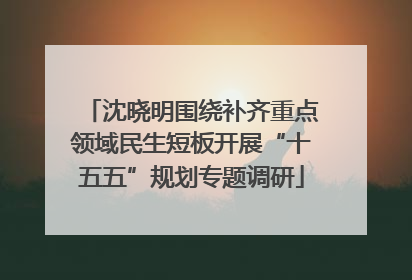 沈晓明围绕补齐重点领域民生短板开展“十五五”规划专题调研