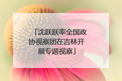 沈跃跃率全国政协视察团在吉林开展专题视察