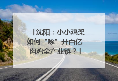沈阳：小小鸡架如何“啄”开百亿肉鸡全产业链？