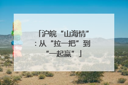 沪皖“山海情”：从“拉一把”到“一起赢”