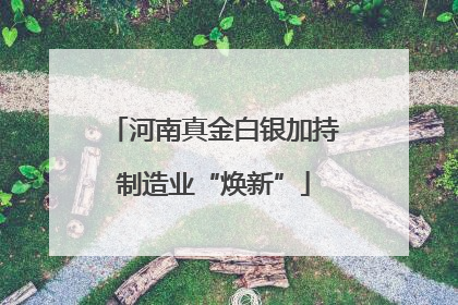 河南真金白银加持制造业“焕新”