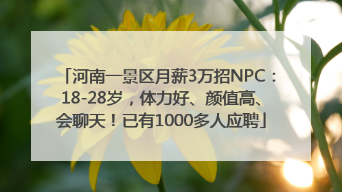 河南一景区月薪3万招NPC：18-28岁，体力好、颜值高、会聊天！已有1000多人应聘