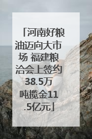 河南好粮油迈向大市场 福建粮洽会上签约38.5万吨揽金11.5亿元