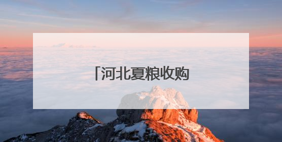 河北夏粮收购工作高效推进
