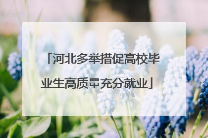 河北多举措促高校毕业生高质量充分就业