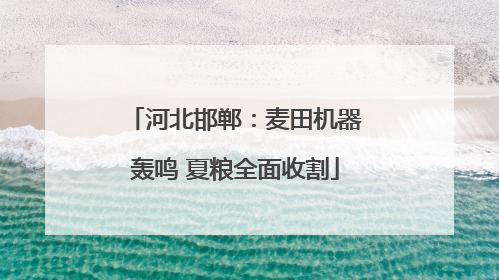 河北邯郸：麦田机器轰鸣 夏粮全面收割