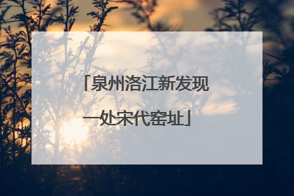泉州洛江新发现一处宋代窑址