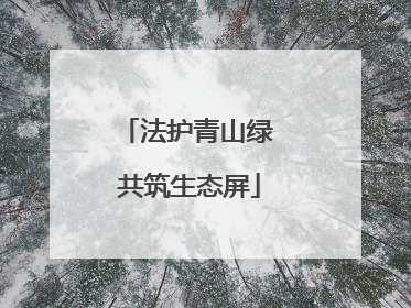 法护青山绿 共筑生态屏