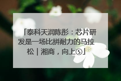 泰科天润陈彤：芯片研发是一场比拼耐力的马拉松｜湘商，向上⑤