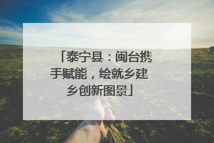 泰宁县：闽台携手赋能，绘就乡建乡创新图景