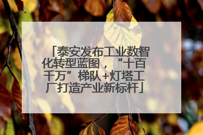 泰安发布工业数智化转型蓝图，“十百千万”梯队+灯塔工厂打造产业新标杆