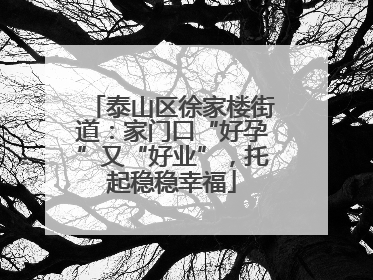 泰山区徐家楼街道：家门口“好孕”又“好业”，托起稳稳幸福