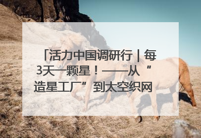 活力中国调研行｜每3天一颗星！——从“造星工厂”到太空织网的“银河速度”