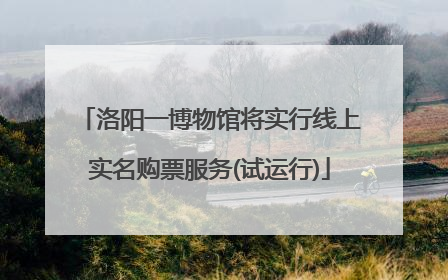 洛阳一博物馆将实行线上实名购票服务(试运行)