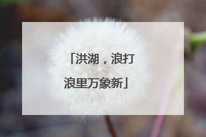 洪湖，浪打浪里万象新