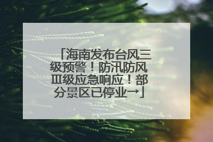 海南发布台风三级预警！防汛防风Ⅲ级应急响应！部分景区已停业→