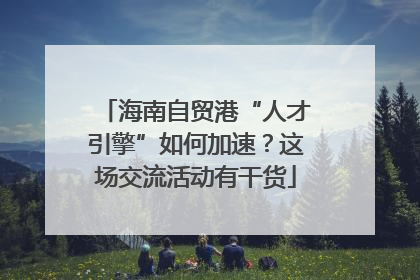 海南自贸港“人才引擎”如何加速？这场交流活动有干货