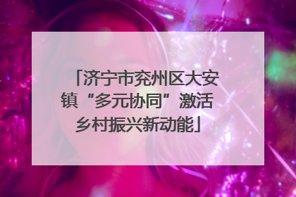 济宁市兖州区大安镇“多元协同”激活乡村振兴新动能