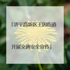 济宁高新区王因街道开展交通安全宣传