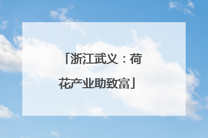 浙江武义：荷花产业助致富