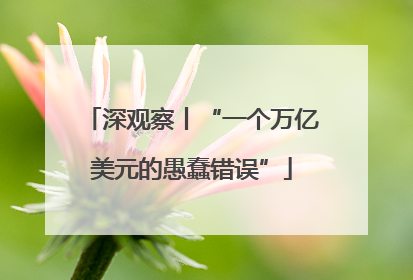 深观察丨“一个万亿美元的愚蠢错误”