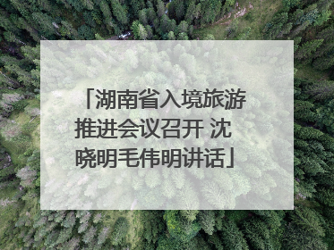 湖南省入境旅游推进会议召开 沈晓明毛伟明讲话