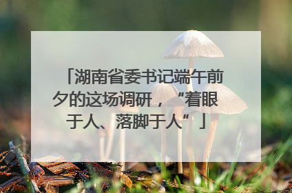 湖南省委书记端午前夕的这场调研，“着眼于人、落脚于人”