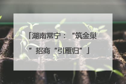 湖南常宁：“筑金巢”招商“引雁归”
