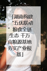 湖南构建“五优联动”粮食全链生态 千万亩粮源基地夯实产业根基