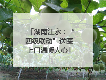 湖南江永：“四级联动”送医上门温暖人心