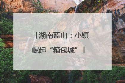 湖南蓝山：小镇崛起“箱包城”